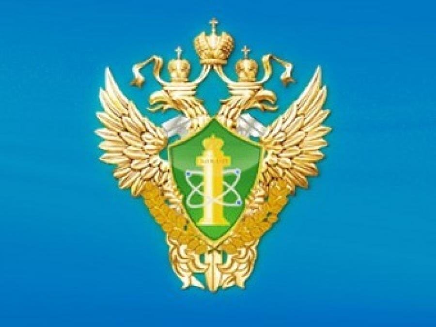 Ростехнадзор. Наклейка ростехнадзор. Герб Ростехнадзора. 105066 Г Москва ул а Лукьянова д 4 стр 1 ростехнадзор. Ростехнадзор Тольятти вакансии.